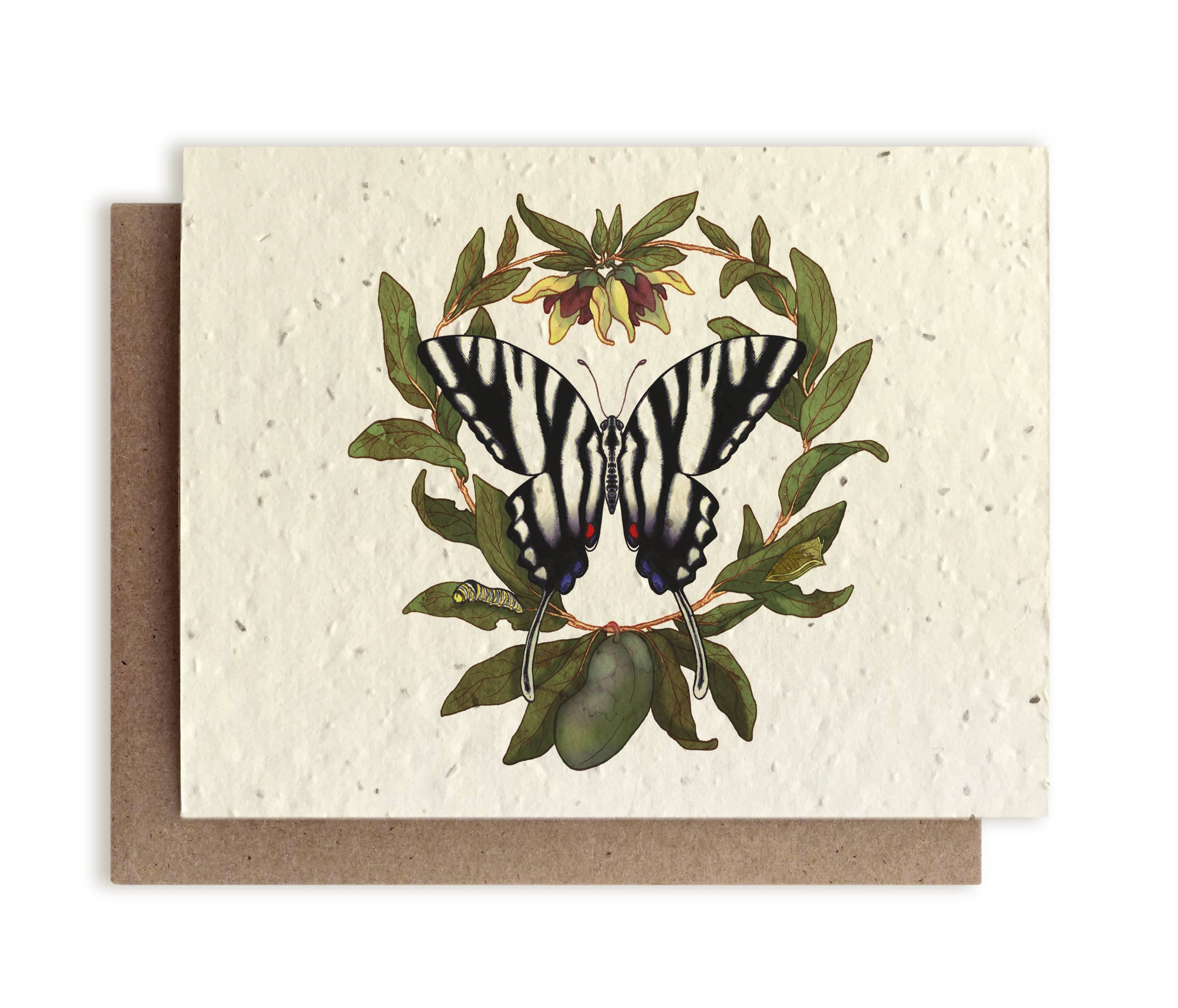 Plantable Vintage Botanical Cards Plune Anemone Wildflower Seed Paper Beyond Zero Waste